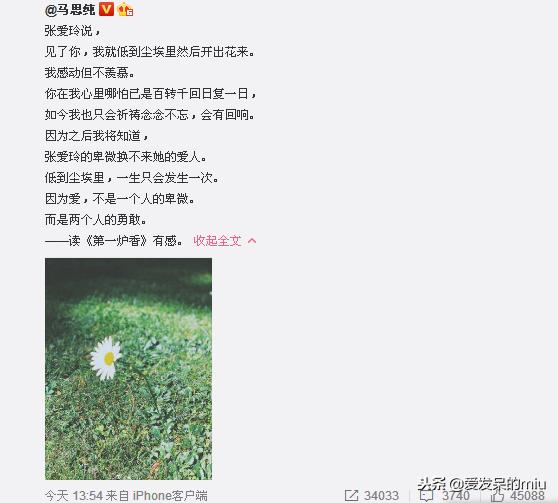 马思纯怼燕公子完整版,马思纯回怼燕公子完整版