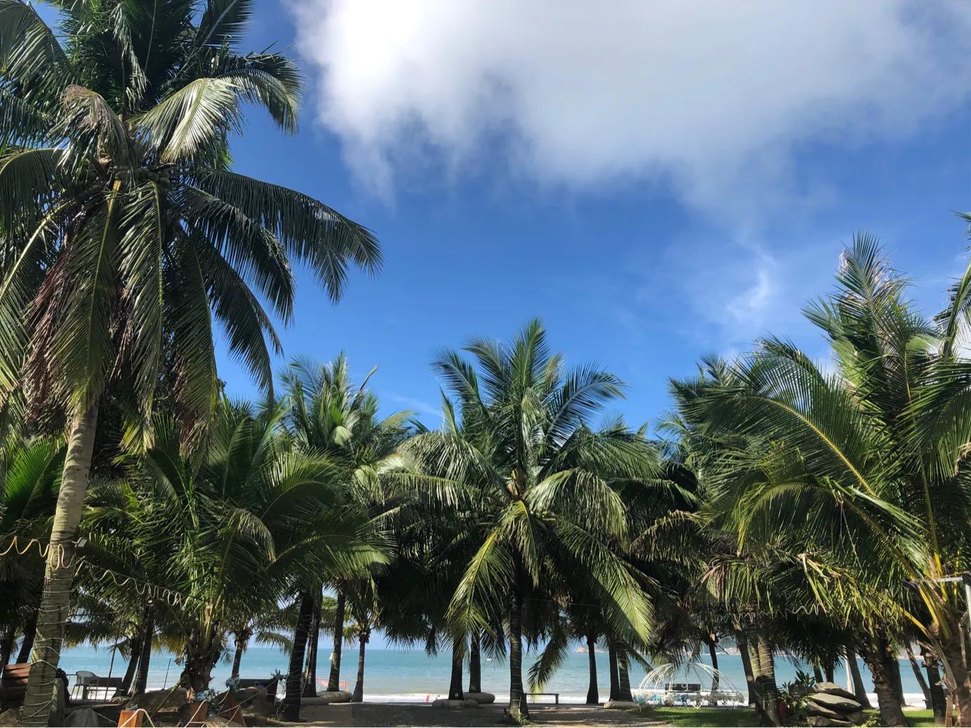 下川岛三天两夜旅游攻略,下川岛3天两夜旅游攻略