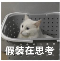 你本命年穿着红了吗,本命年就该这么红