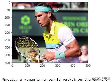 输入图片生成详情图,输入图片生成文字赏析