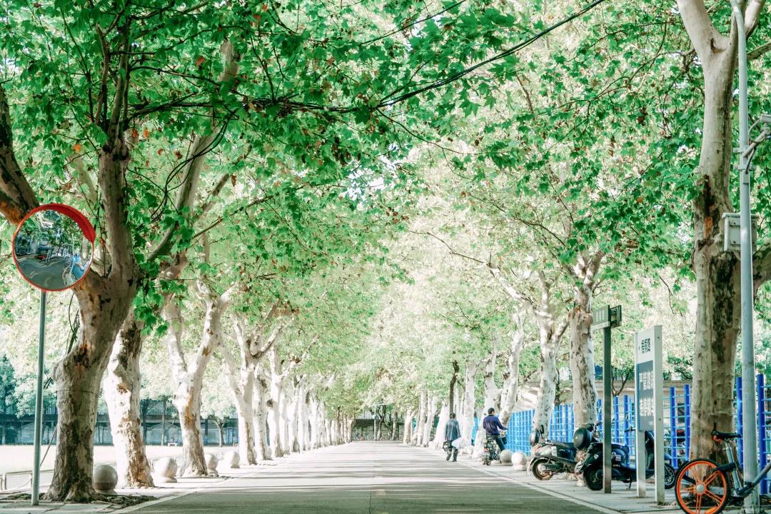 坐拥神仙颜值!原来,这就是中南大学的最美校花!