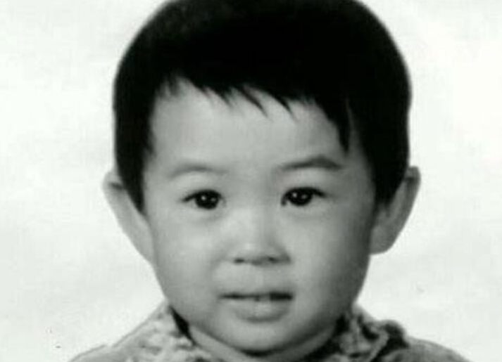 人生最坏不过大器晚成张嘉译,大器晚成张嘉译的七部电视剧