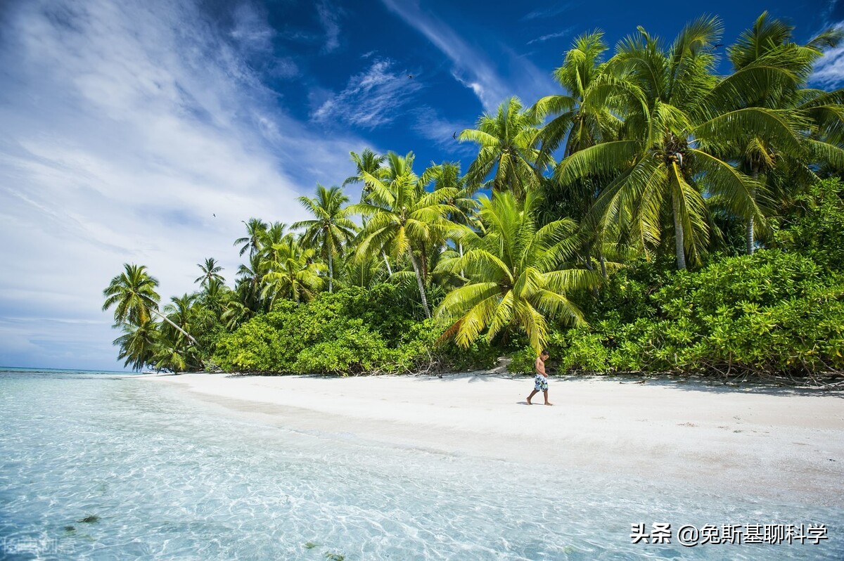 世界上小于15000平方公里的国家,世界上面积最小的五个国家