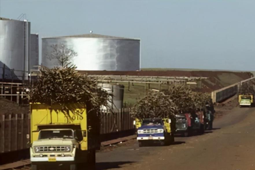 巴西2013图片大全,神奇的巴西