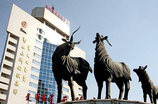 中国服装第一品牌雅戈尔,中国服装第一大头