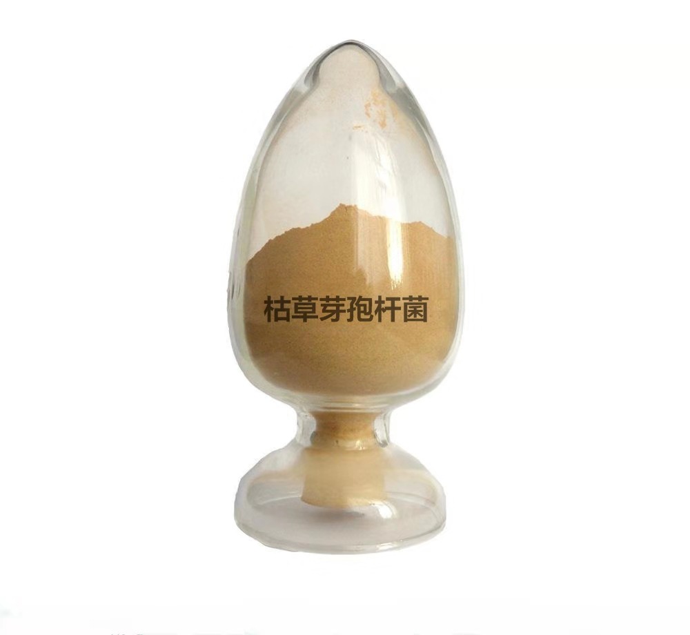 微生物源农药枯草芽孢杆菌的使用技术，“以菌治菌”防治土传病害