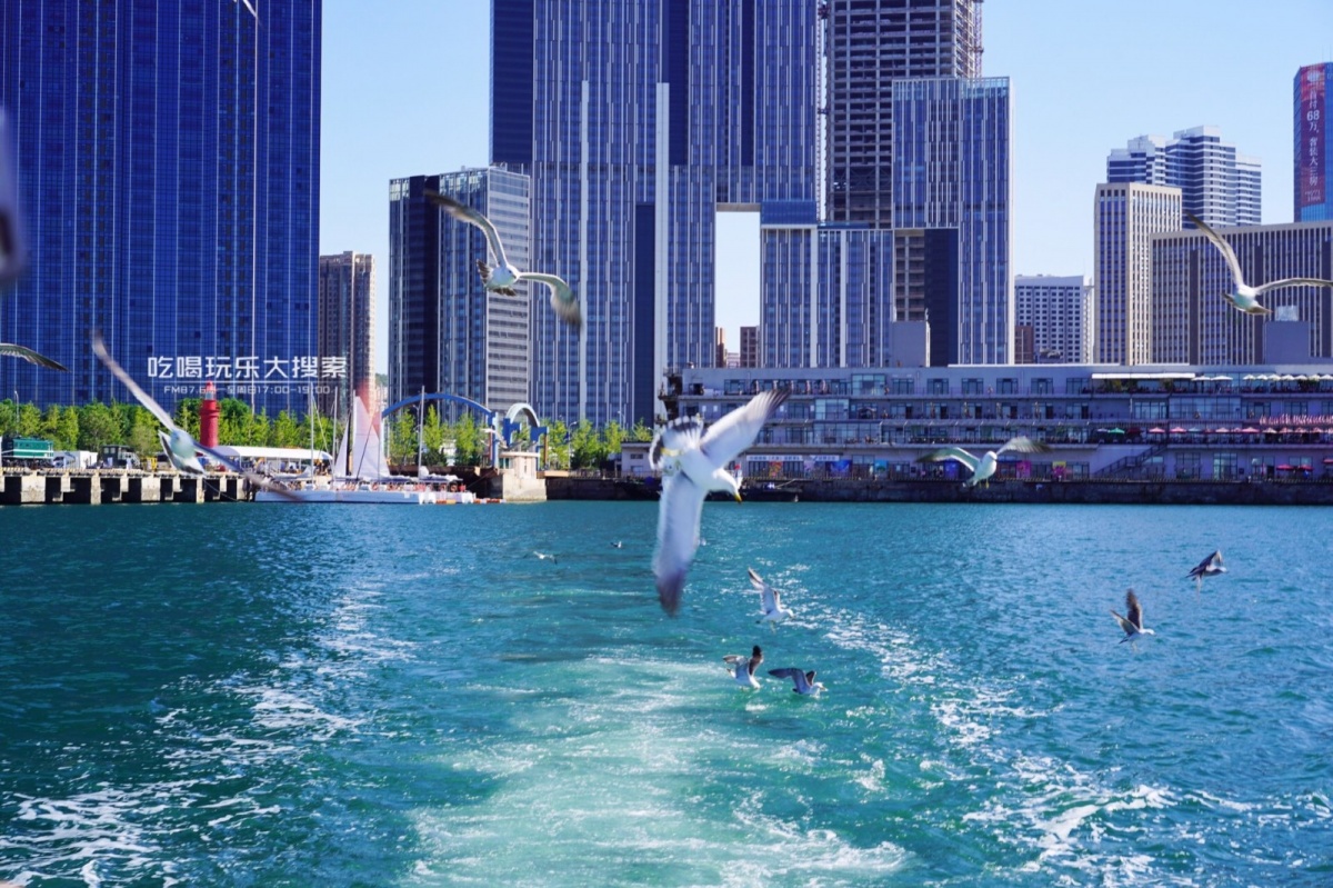 遇上浓浓的大连海蛎子味,青岛海蛎子旅游攻略