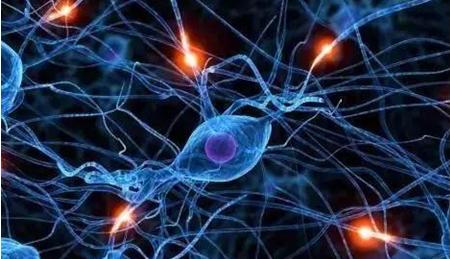 宝枫生物,宝枫生物科技的产品