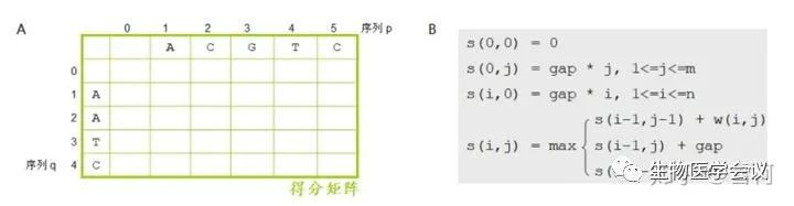 生物信息学入门的87个名词,一张表看懂生物信息学
