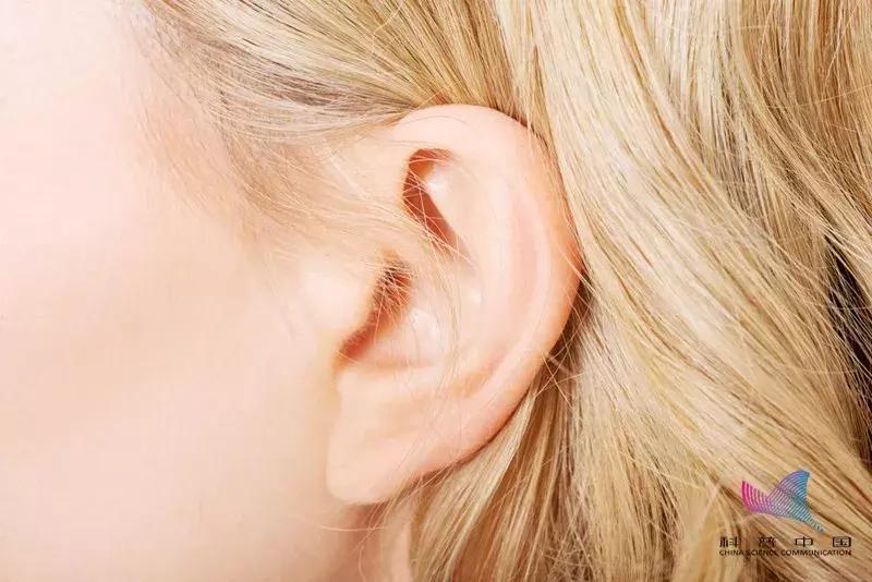 耳朵怎么掏呀,掏耳朵的正常掏法