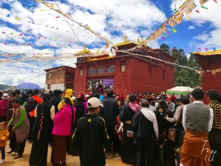 大学生去西藏支教的真实感受,真实的藏区支教