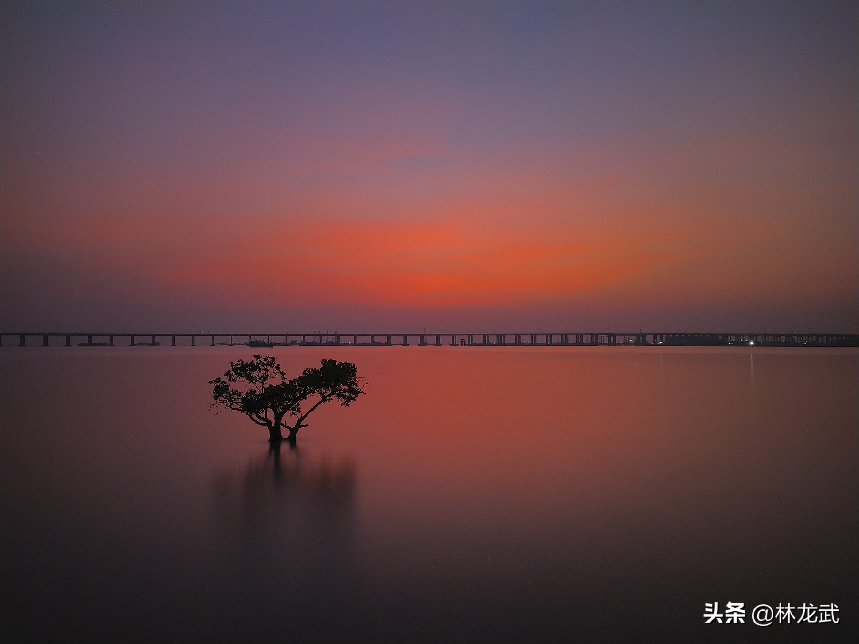 小米手机拍照怎么设置成raw格式,小米手机拍照怎么拍全图