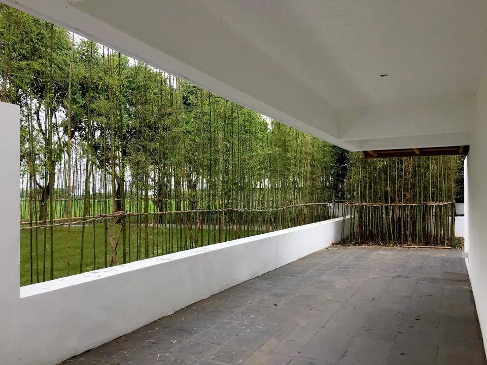 乡村振兴特色文化案例分享,关于乡村振兴比较有创意的点子