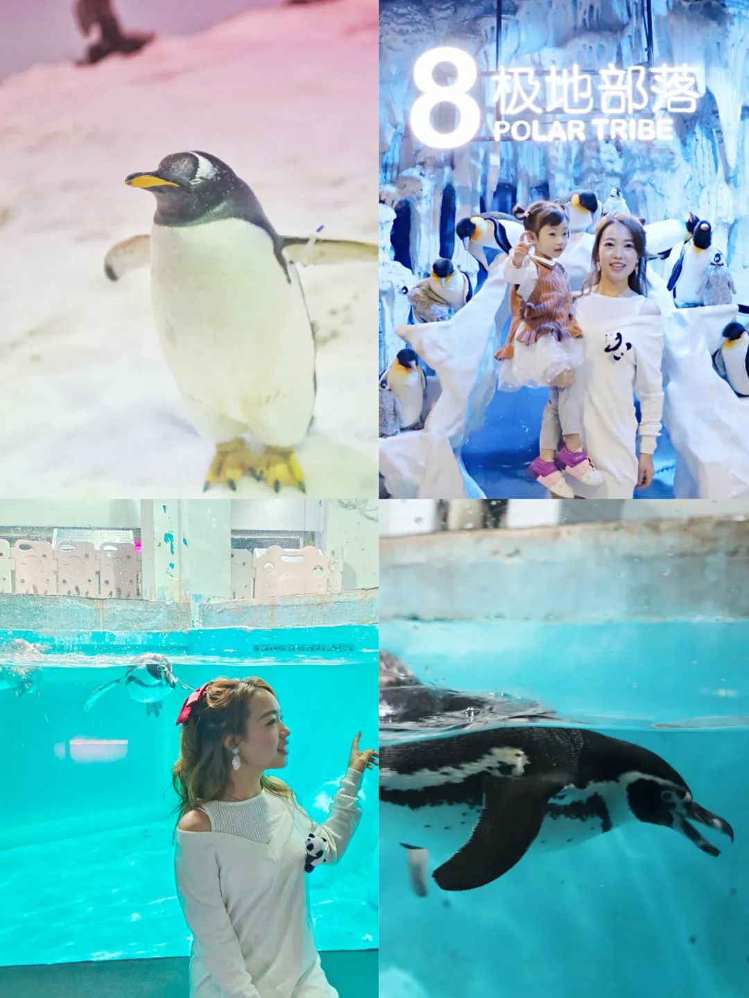 开启非凡住宿万豪旅享家,万豪旅享家万物皆可串