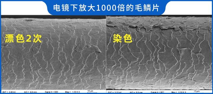 哪种染发剂不过敏不伤发质,染发剂有害成分做了深度测评