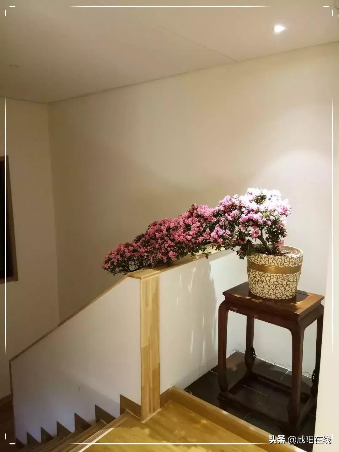 西安经络足疗,崇英经络足疗西安