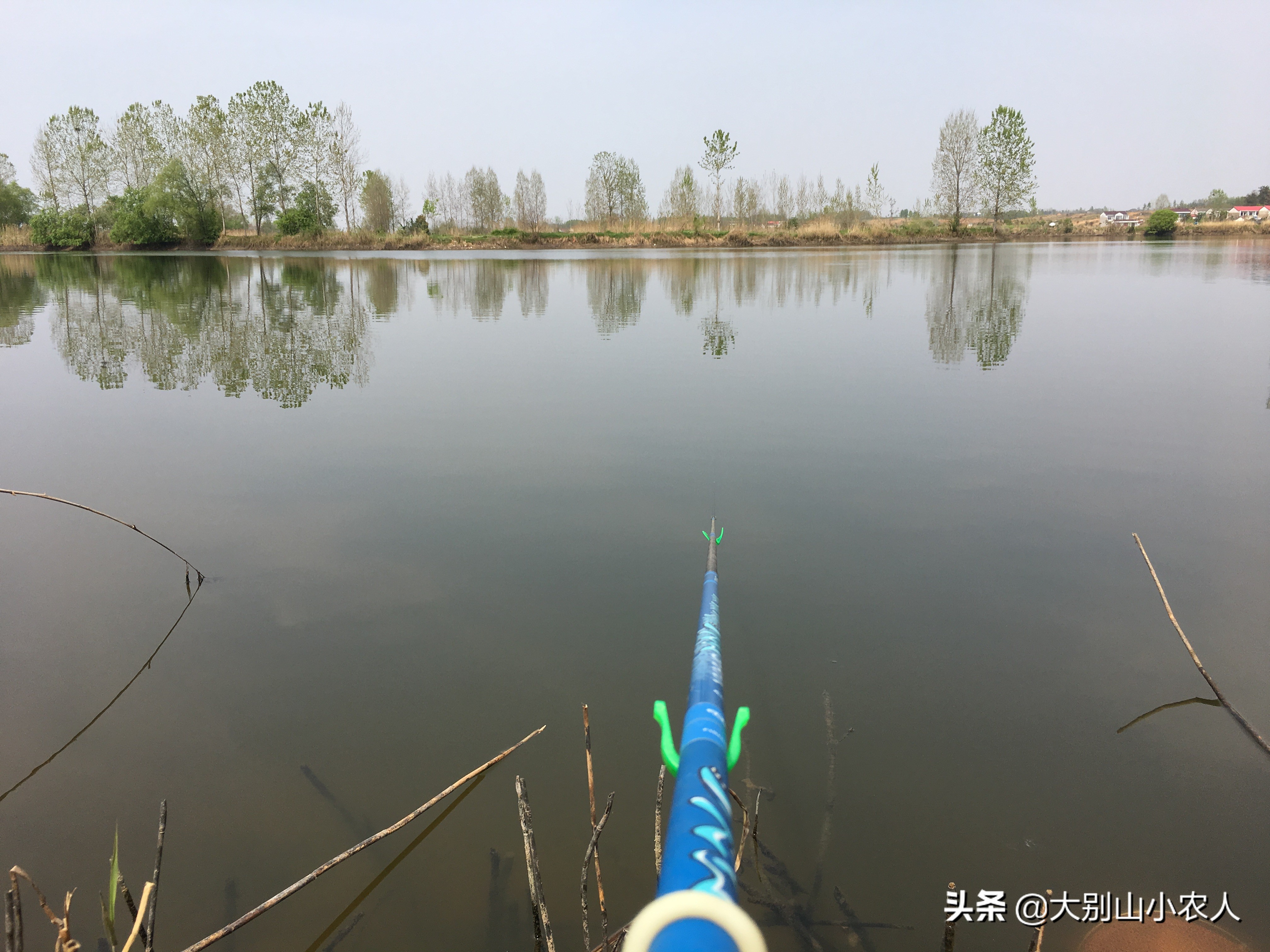 鱼线粗细和鱼的大小应如何选择,鱼线的粗细比例