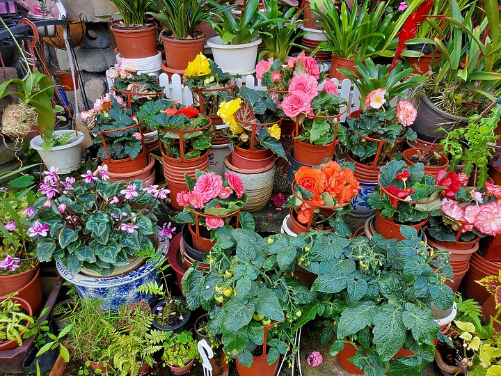 三星GalaxyZFlip评测：吸引目光的不止折叠