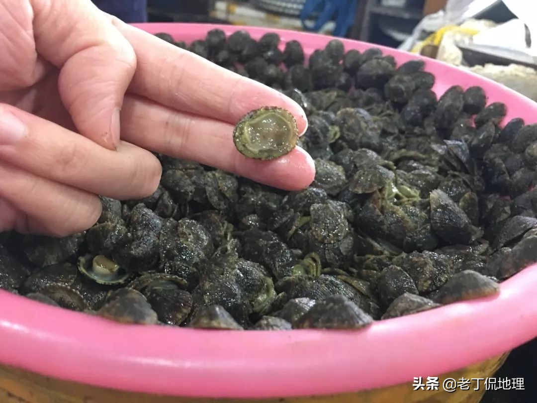 中国海鲜地图,中国海鲜最多地区