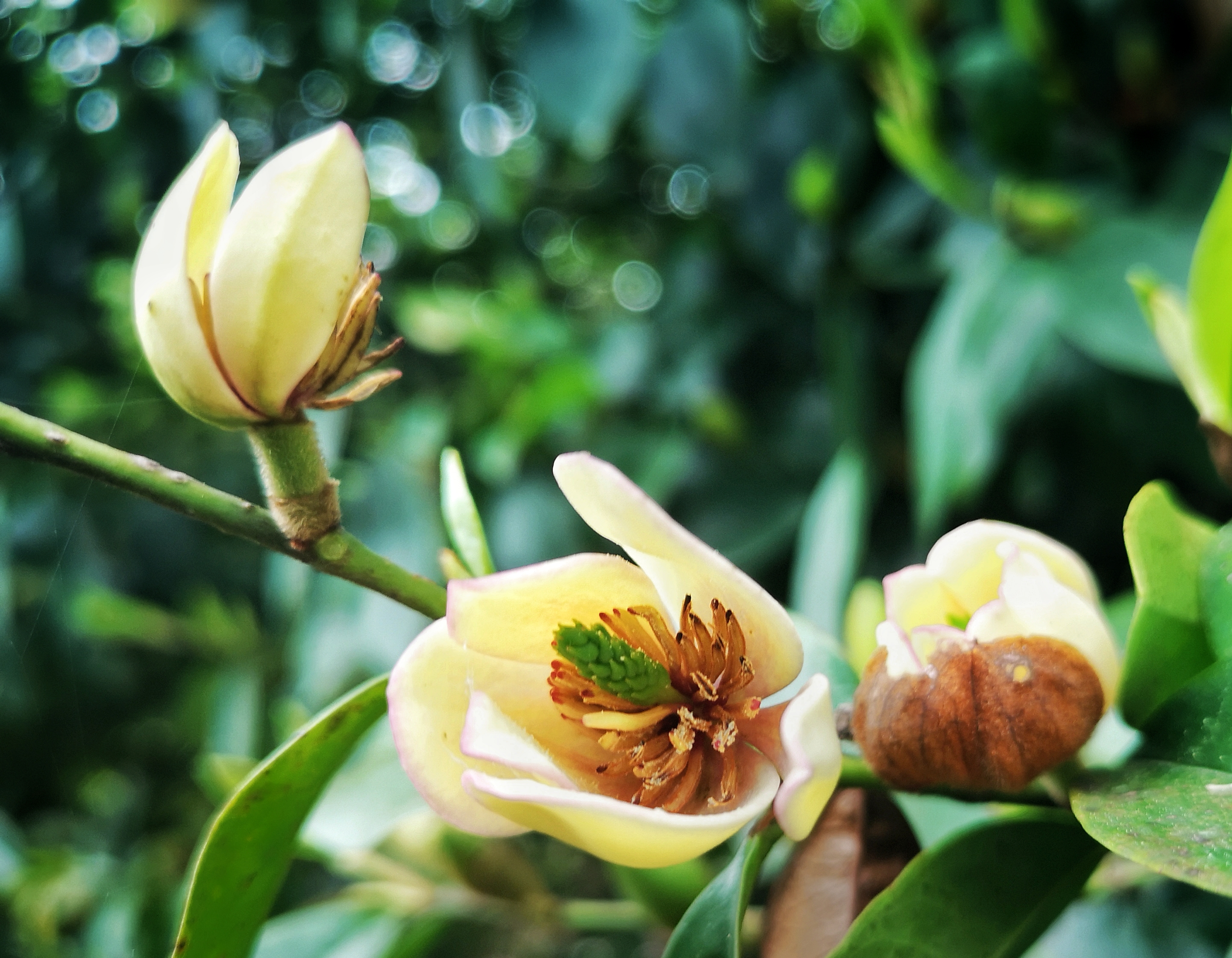 寻找身边的美丽身影,寻找身边美丽景色