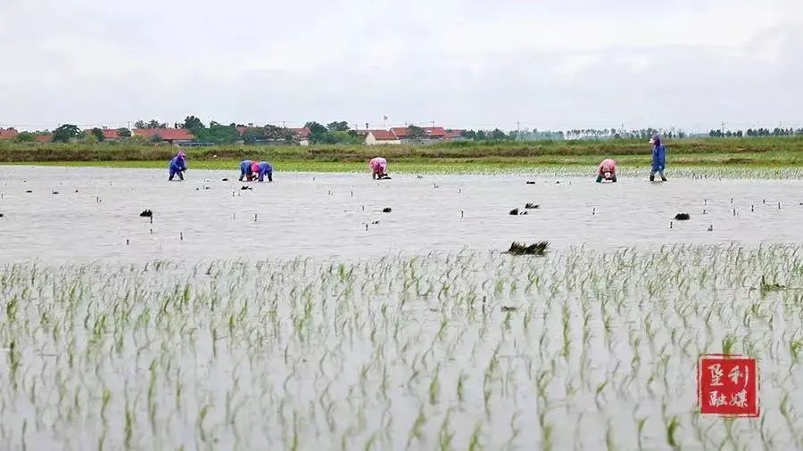山东东营位置,这就是东营