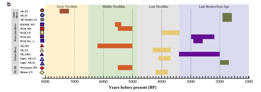 殷墟甲骨文反映商代祭祖文化,殷墟古人样本