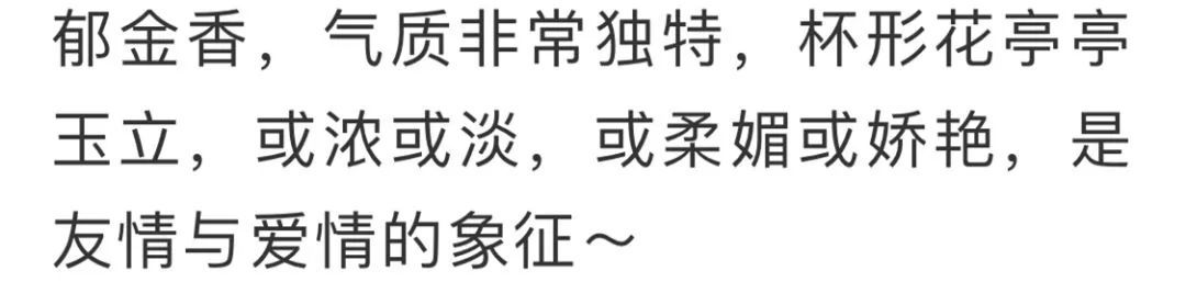 看到花的时候,不知是什么花?那就收下这份百花图谱