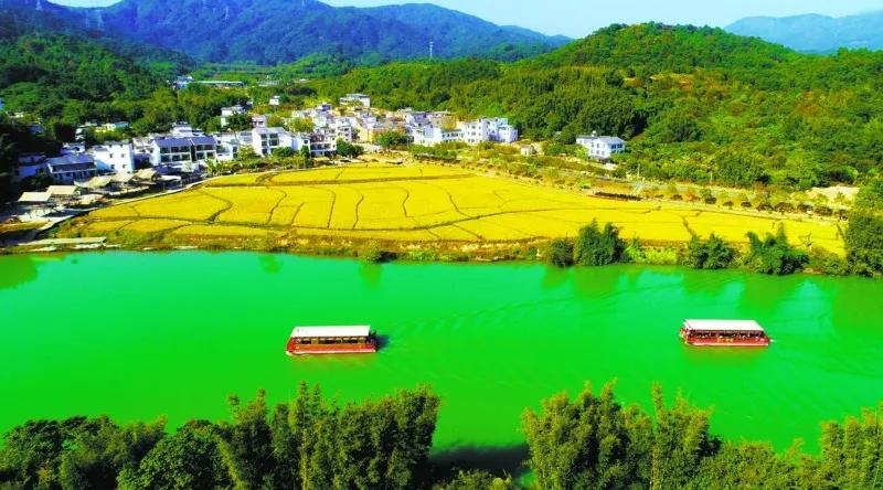 楂樻牎瀛︾敓鐪间腑鐨勫叡闈掑洟,楂樻牎鐢熺溂涓殑鏃朵唬鍙樿縼