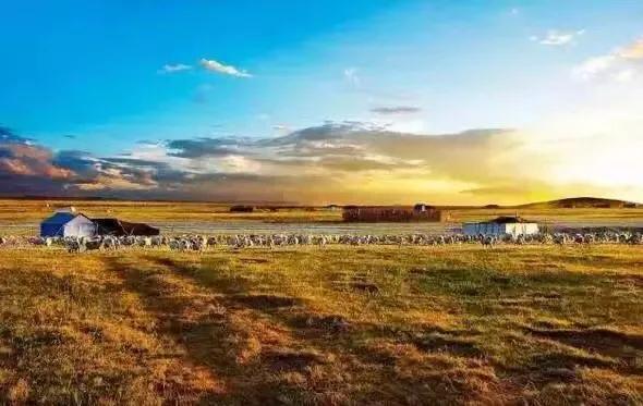 探险中俄边境之八——走过七卡八卡九卡，来到室韦