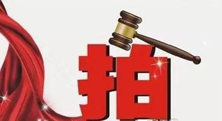 汇智地产官网,哈尔滨汇智地产新拍地