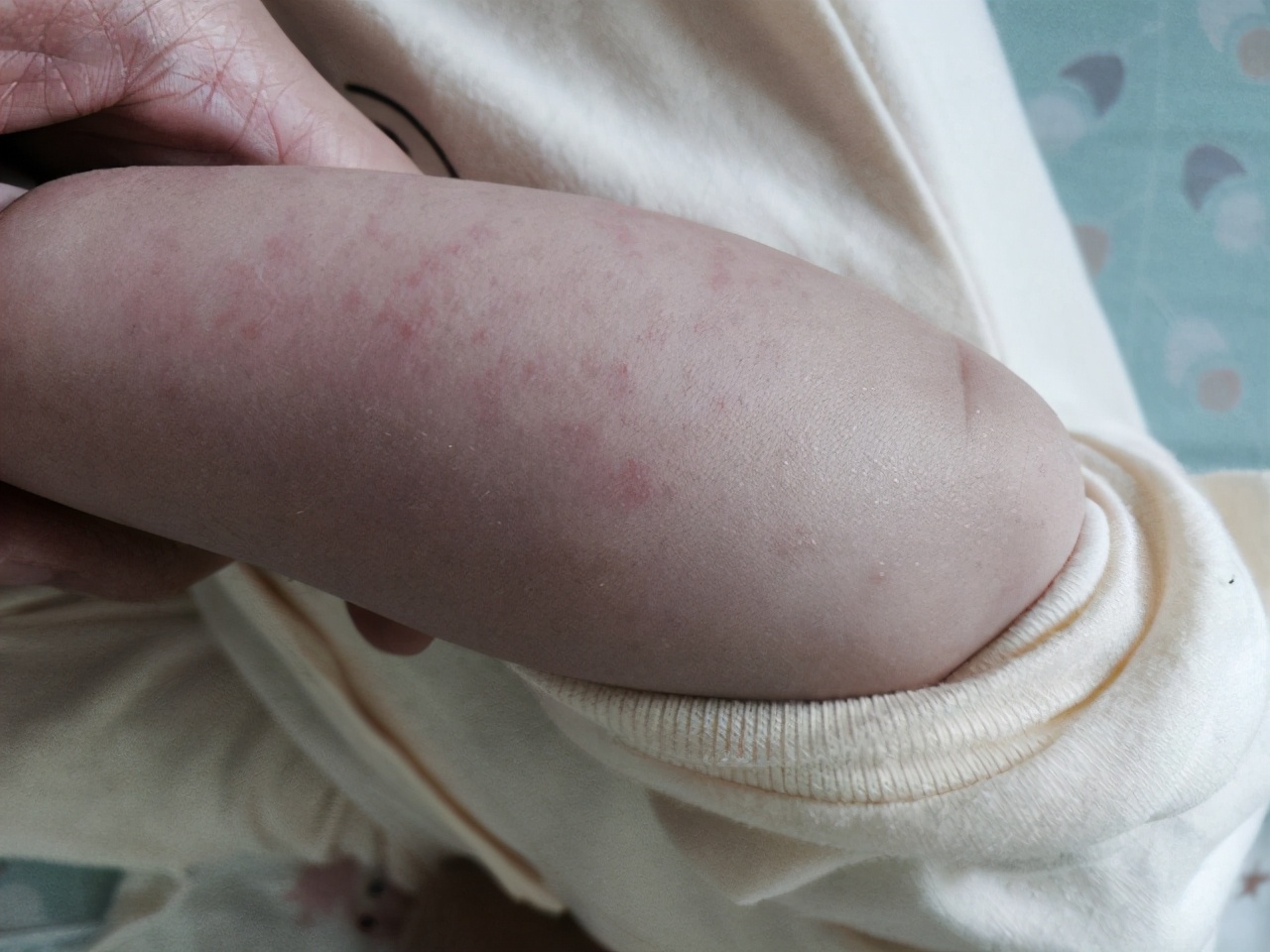 有机纯羊奶与普通配方奶哪个更好,市场上羊奶和牛奶哪个好