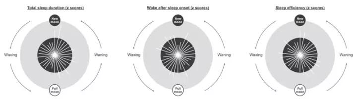 脑科学日报,脑科学日报在线阅读