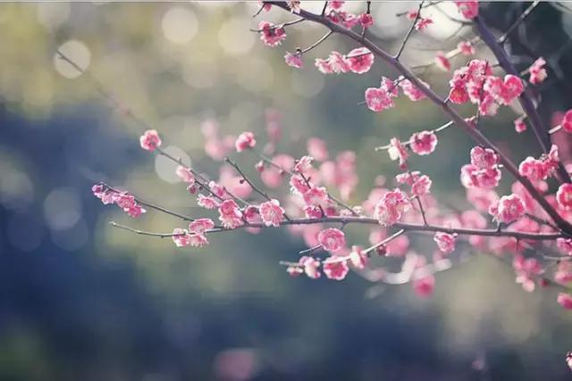 10首哲理禅诗10种人生境界,这十首古诗读懂便受益一生