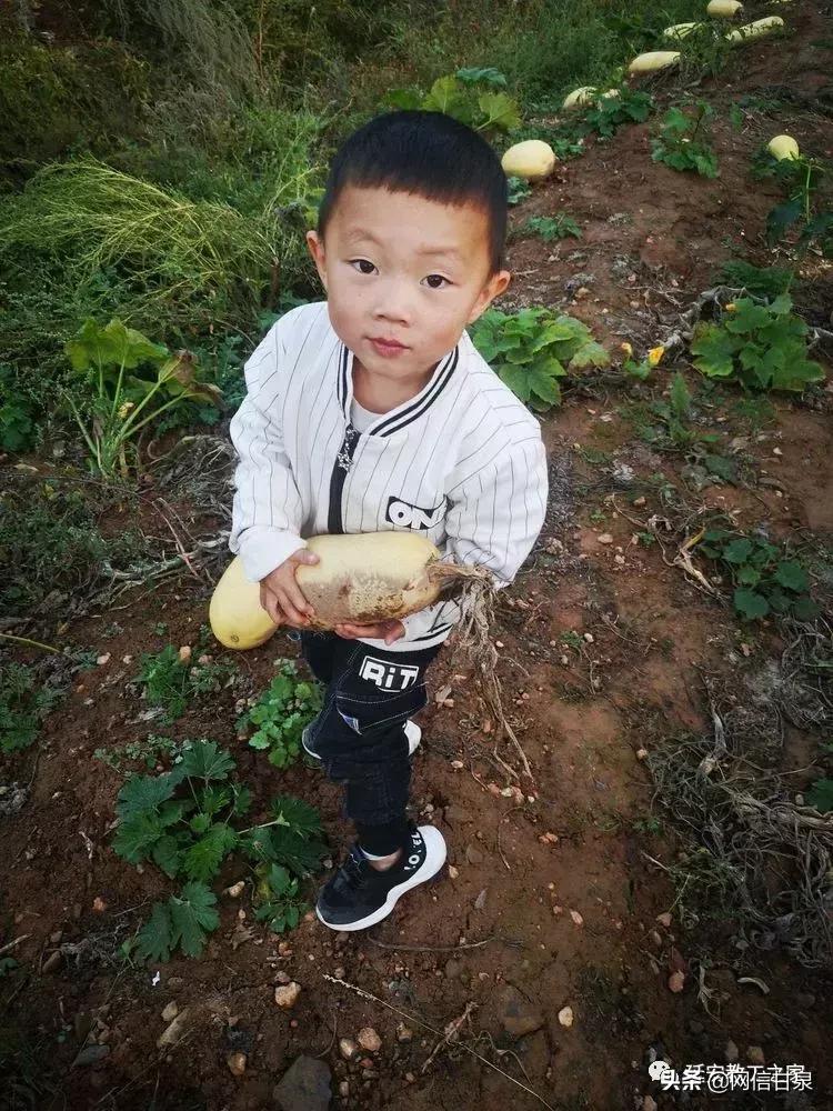 金太阳幼儿园校门,延安市甘泉谢金庄幼儿园