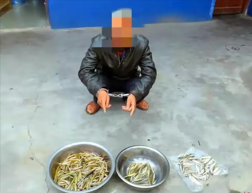 鱼也不能捕了?这三种捕鱼行为均不合规,有人已受罚,农民要注意