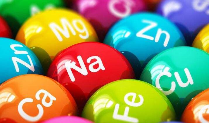 海带和裙带菜是一样的吗,海带和裙带菜有区别吗