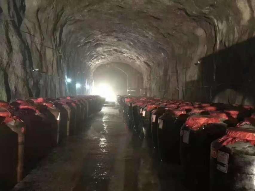 酿杨梅酒用冰糖发酵,杨梅酒发酵全过程