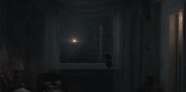 切尔诺贝利实拍的奇怪动物,探险切尔诺贝利发现变异巨鼠事件