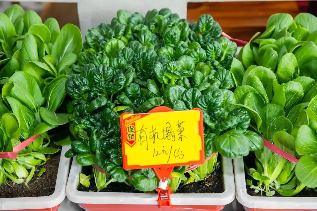 魔都惊现「2层楼小香港」,卖“蹦迪海鲜”!花胶鸡、6头鲍免费送