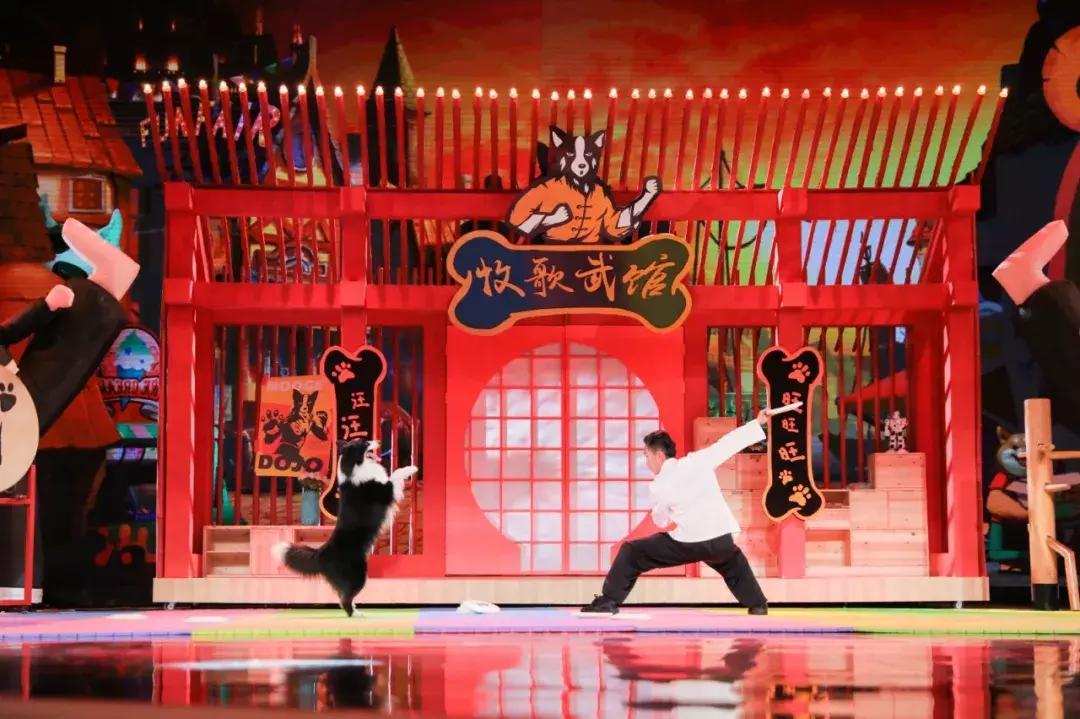 《巅峰之夜》:比顶级才艺更触动人心的,是跨越国界的共通情感