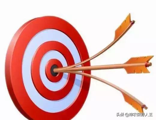 再见金立：一个时代的结束