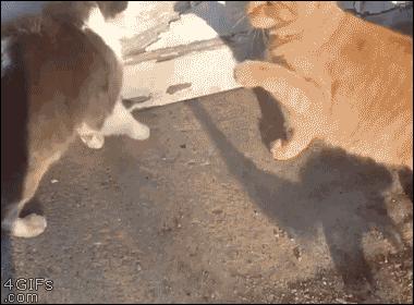 在外受气回家打儿子,在外受欺负回家打老婆孩子