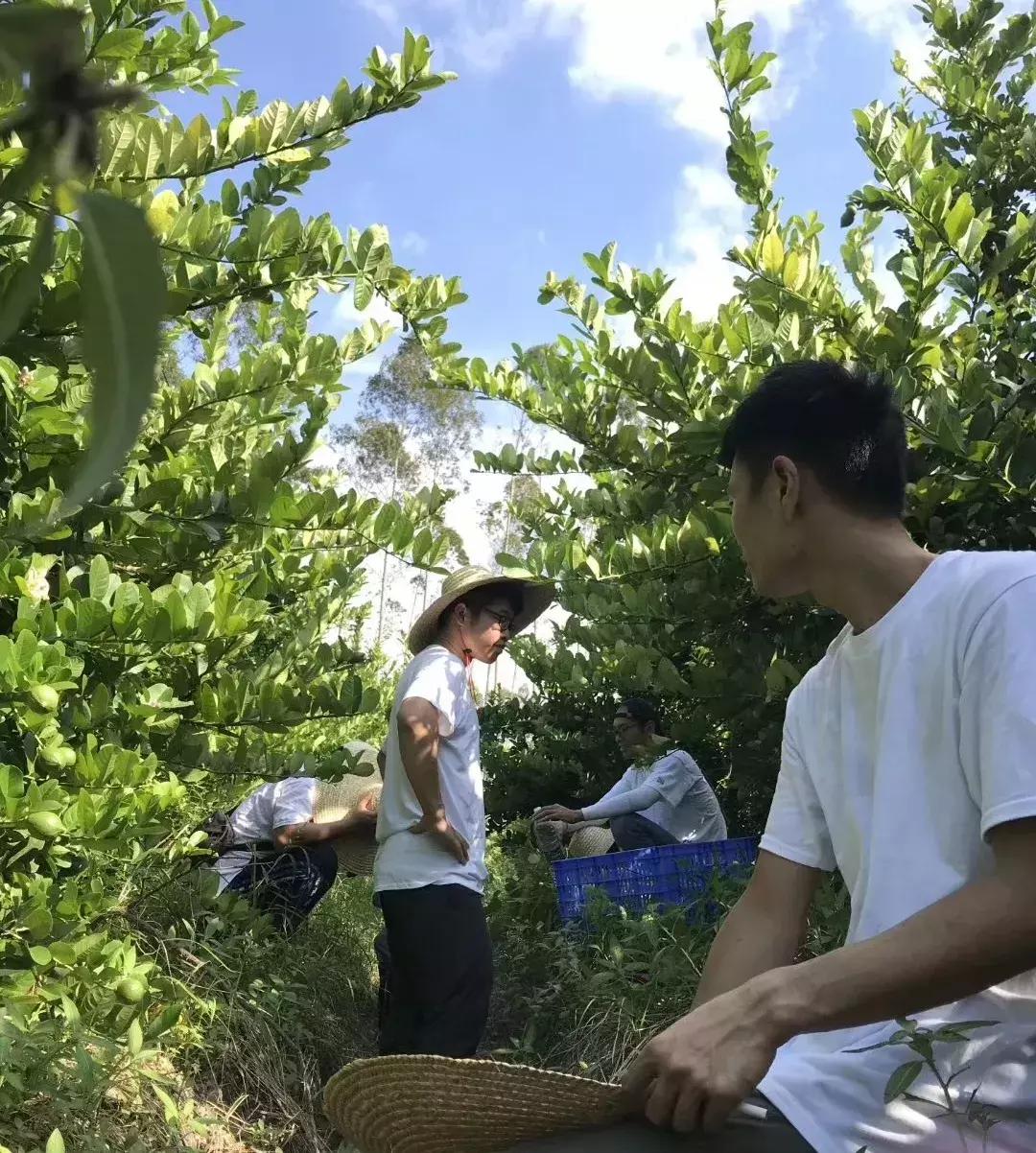 十年仅200家店，“慢行”佐敦道为何值得我们学习？