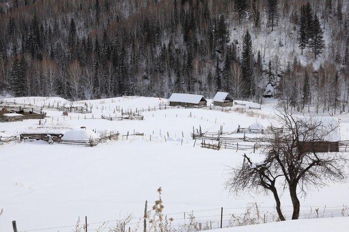 自然风光美如画新疆,自然风景雪景