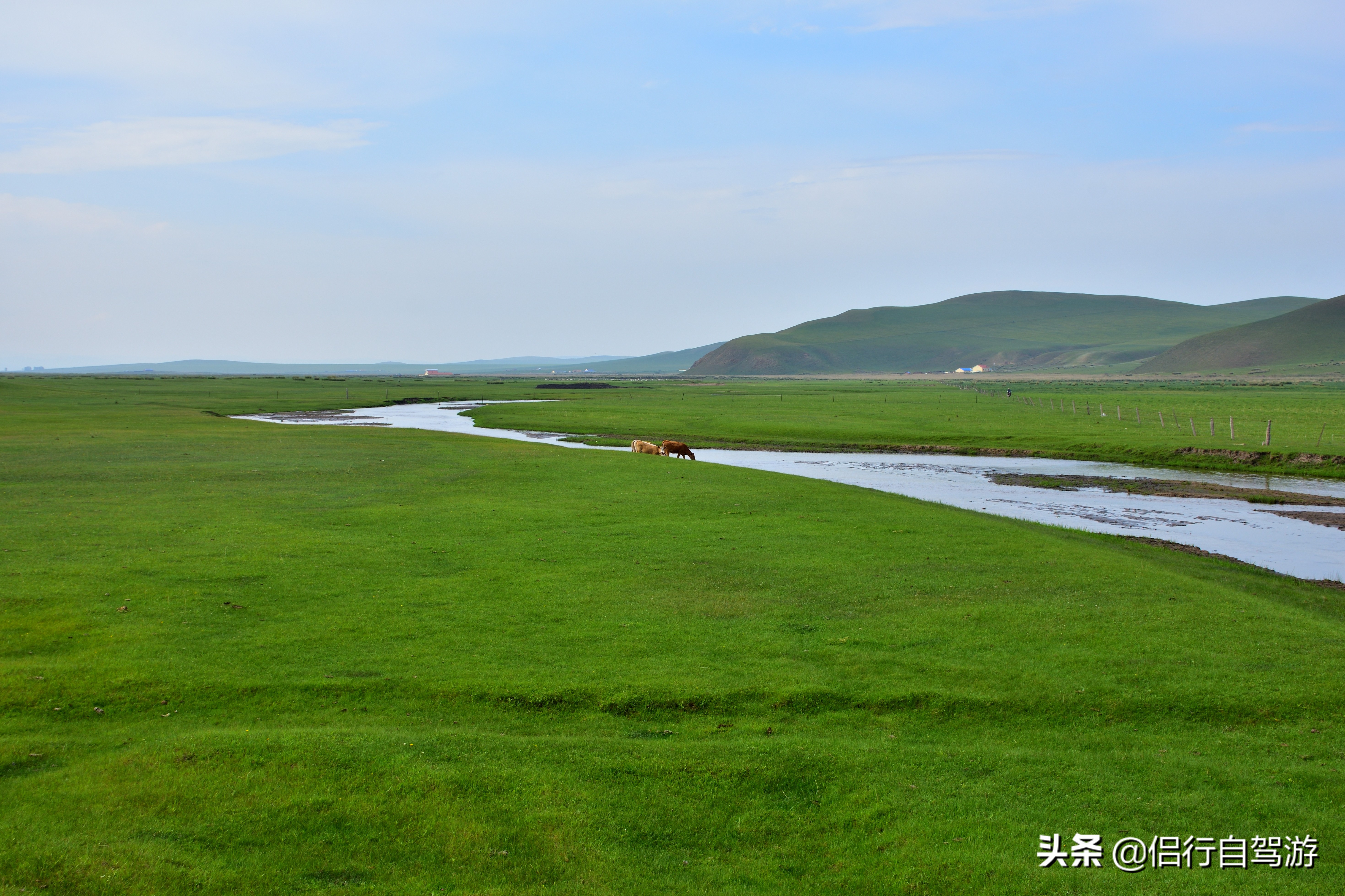 西乌旗景观大道,两条景观大道