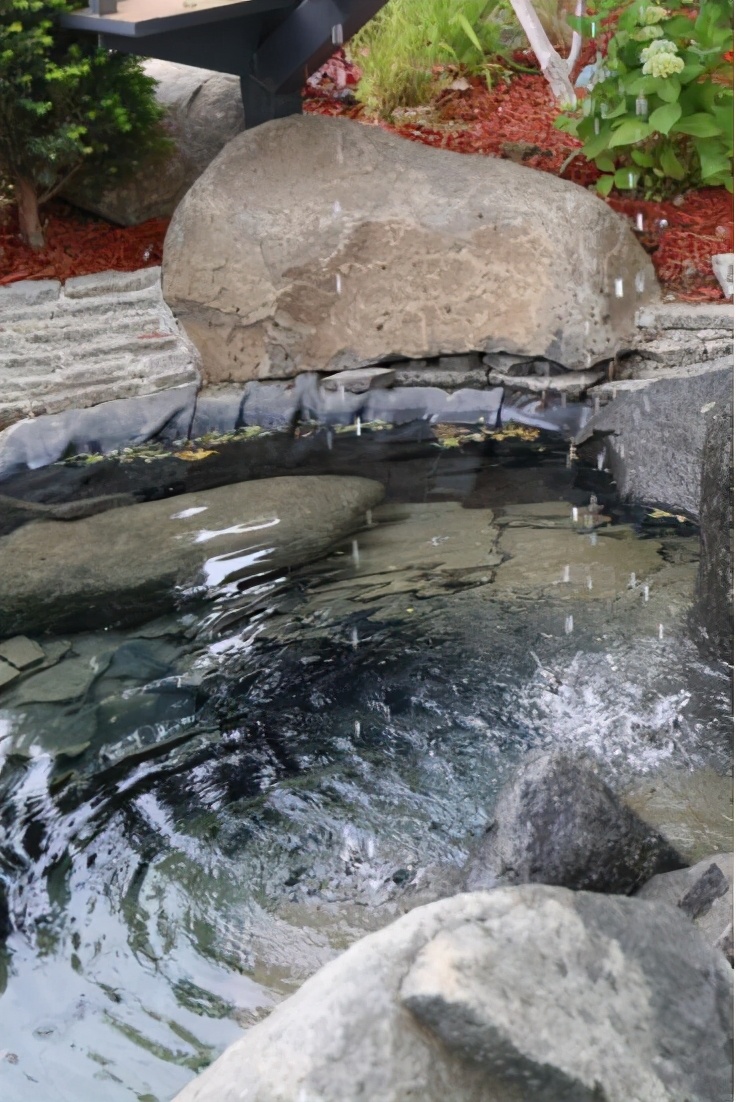 梦境中的花园来感受花园的魅力,这座花园带给你全新体验