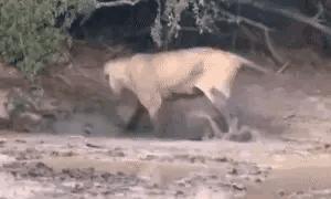 为什么加油站要24小时上班,为什么加油站一个工资1800