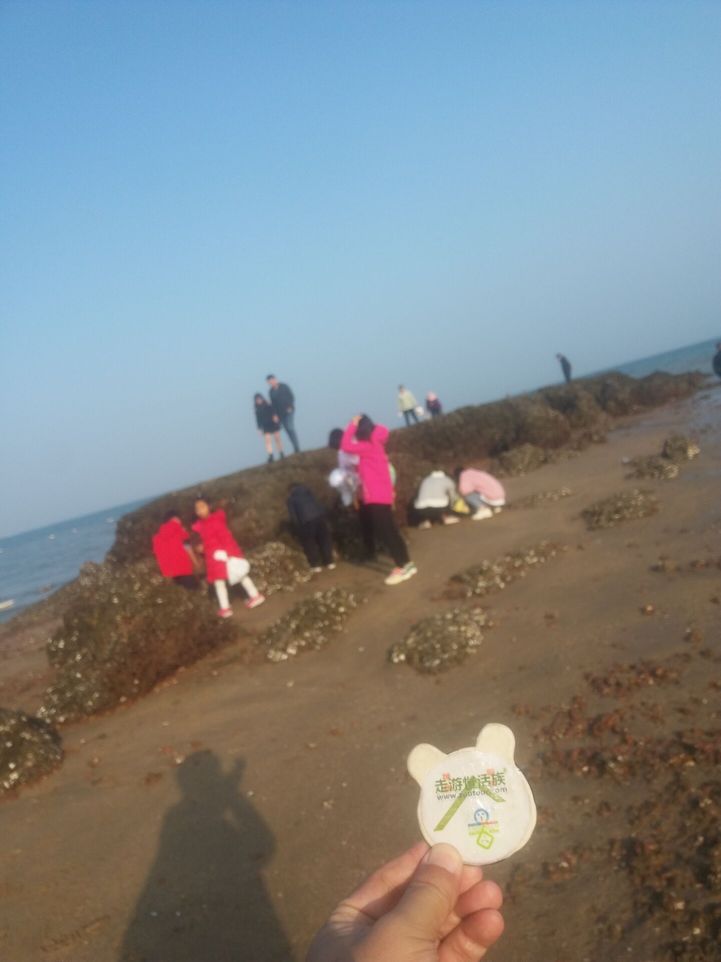 大益鼠年生肖饼大全,大益鼠饼茶叶