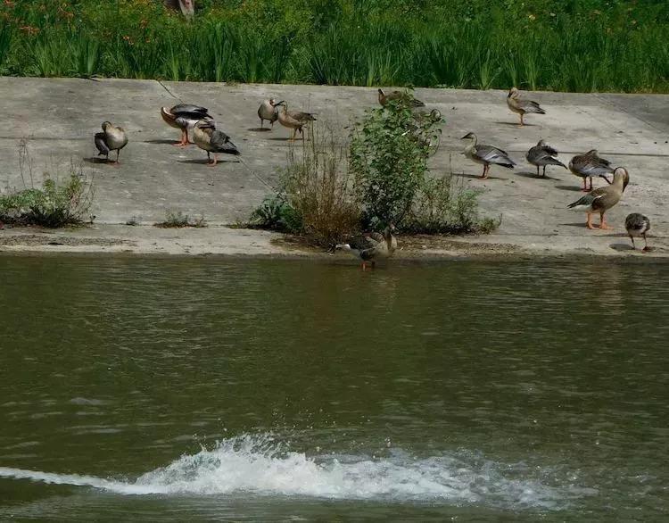 北京小型四合院公寓,北京市最大的老年公寓