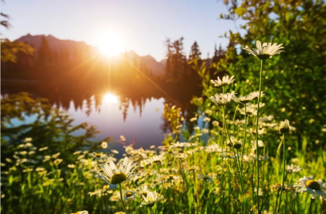 这座火车站将结束此地不通高铁历史!